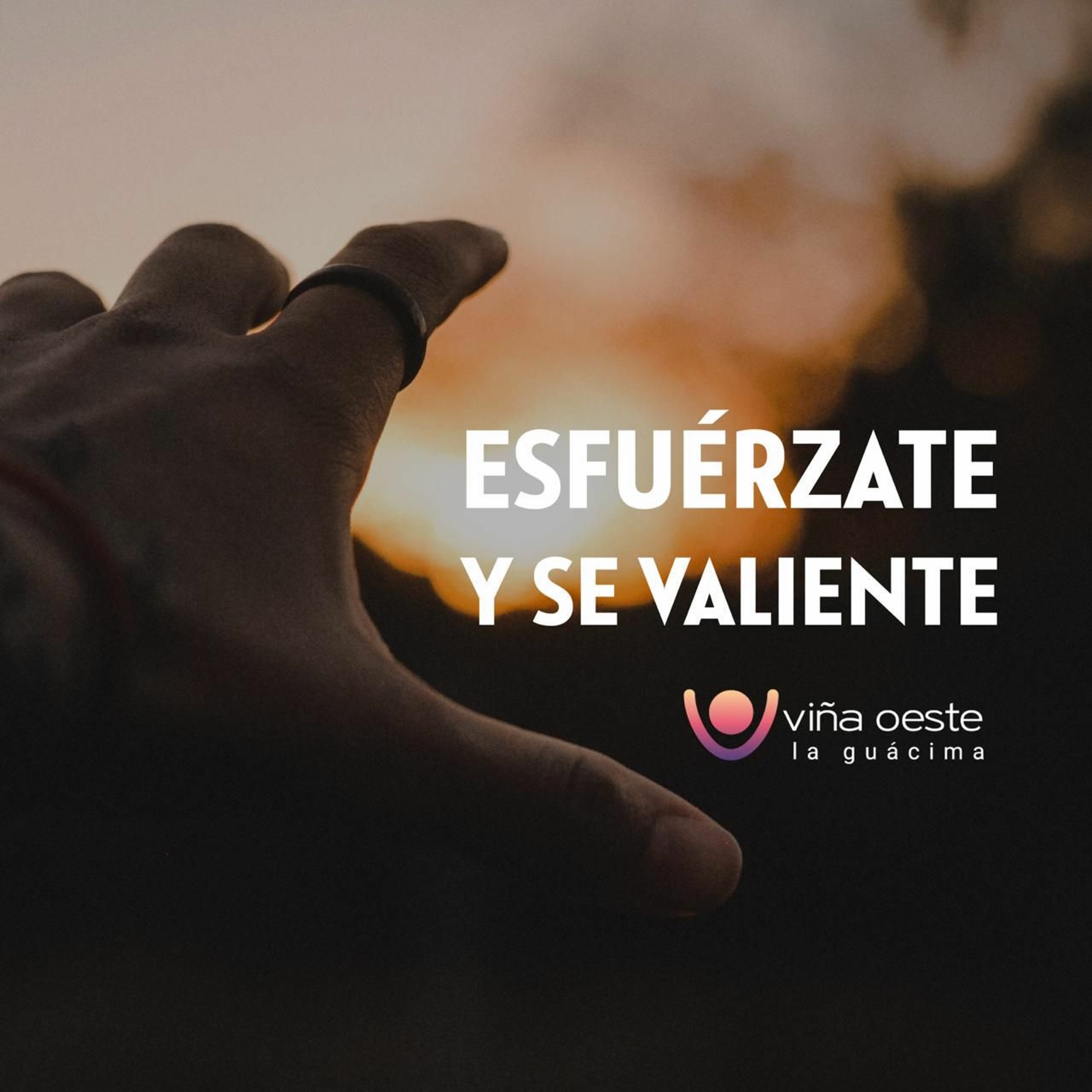 Viña Oeste La Guácima