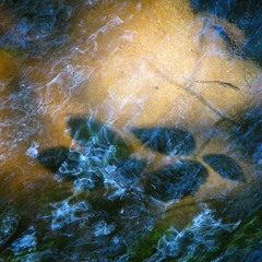 Blowin - 28 July 2024