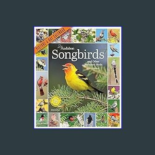 Stream [R.E.A.D P.D.F] Audubon Songbirds and Other Backyard Birds
