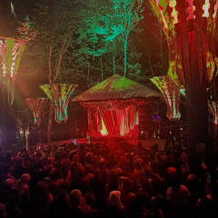 future forest 𖣊 mushroom stage 2025