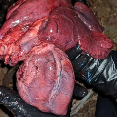 i don't want you. [+wouldyoubemyangel]