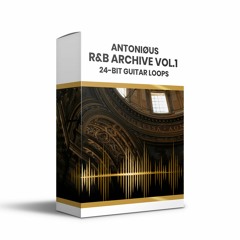 R&B ARCHIVE VOL. 1 - 24 BIT GUITAR LOØPS