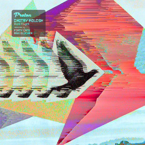 Stream Dmitry Molosh - Bird Flight (Forty Cats Remix) by Proton
