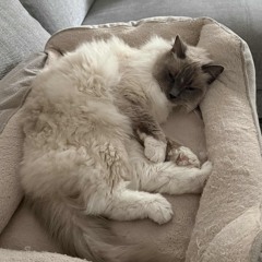 Bouncy, Trancy & Dancy Mix