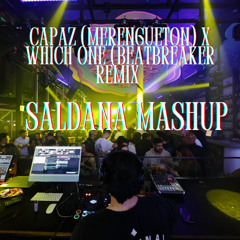 Capaz  (Merengueton) X Which One Saldana MASHUP