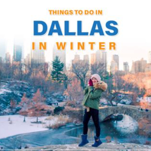 Best Things To Do In Dallas Winter Tours Reviews