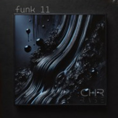 Funk 11