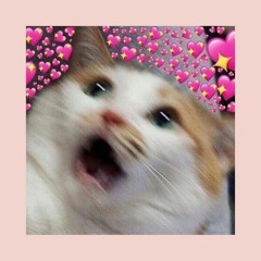 Precious - DADUC (Riah Remix)