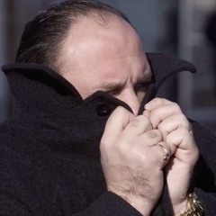 hip hop lenny kravitz