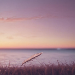 The Weight i laid down