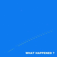 What Happened ?