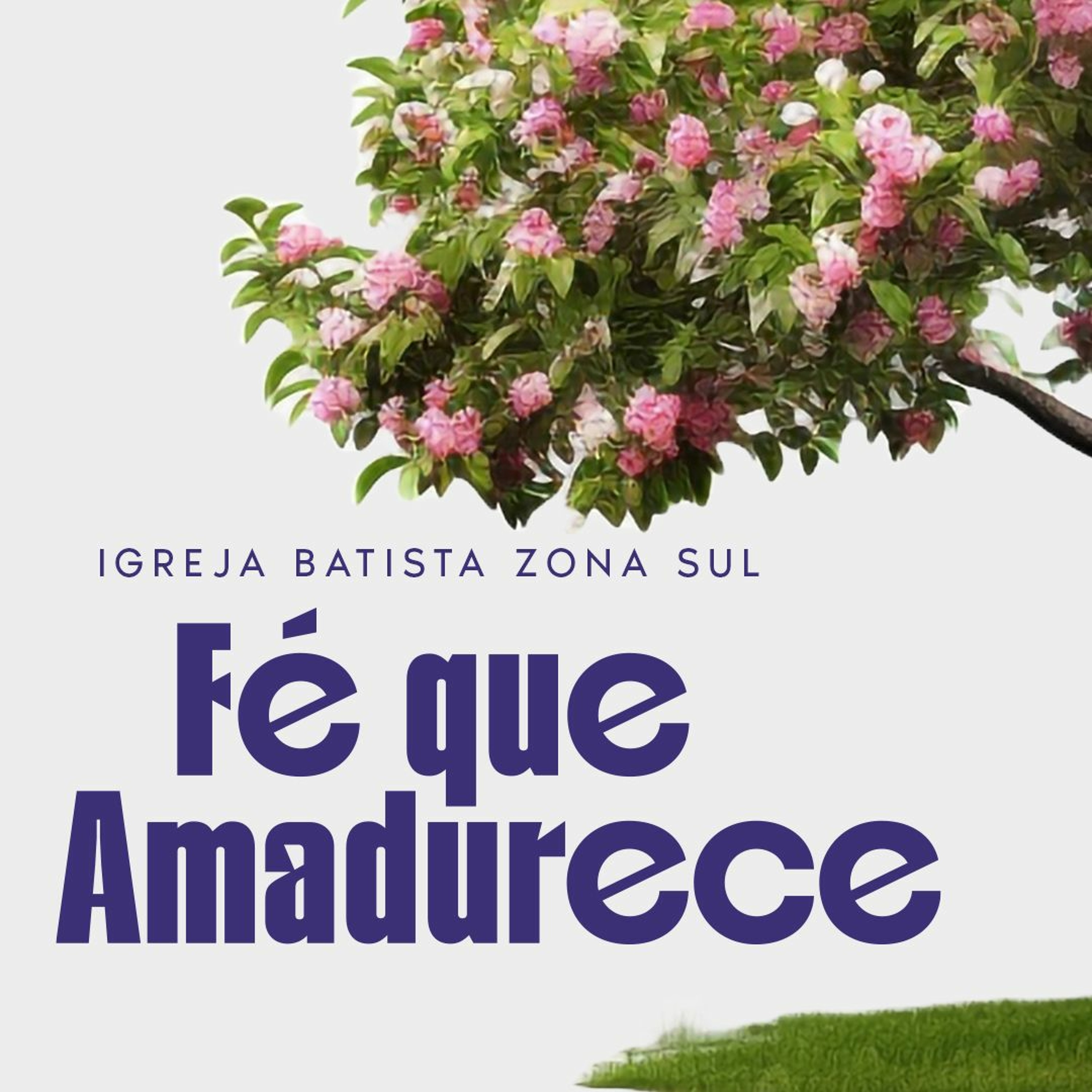 IBZonaSul