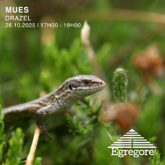 Drazel - Mues (Octobre 2025)