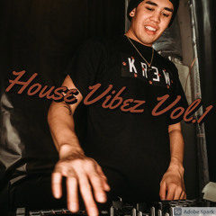 House Vibez Vol. 1