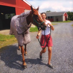 farm life 5 (prod. lil skam)