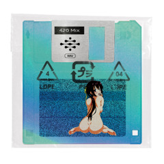 Big Floppy Disks - 420 Mix
