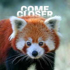Glass Animals - Psylla (Come Closer Edit) [FREE DOWNLOAD]