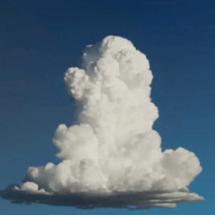 Freeda Y*tch (prod. Matty)