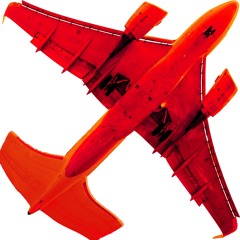 YOUR HAPPY I CAN TELL