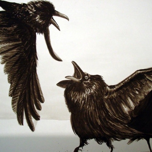 Fight Fair