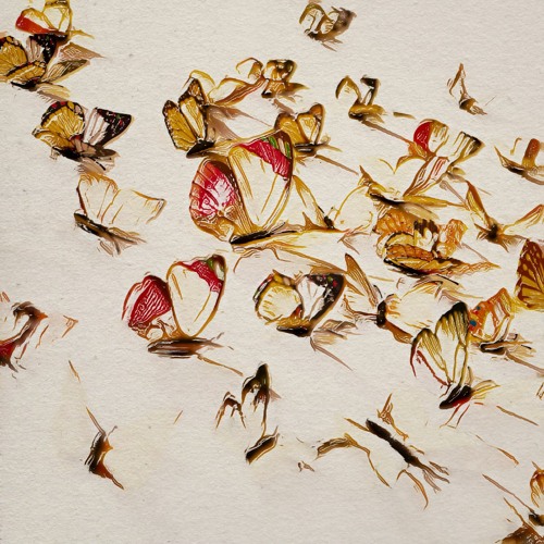 O postagem de hoje no IG do @argentronic