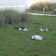 없는 것 같아도 (Doesn’t seem like it exists)