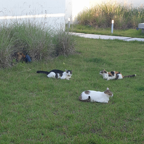 없는 것 같아도 (Doesn’t seem like it exists)