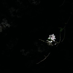 Dark <3 + @edm6nd
