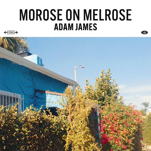 Morose on Melrose