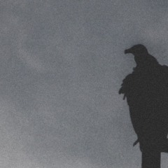 Sweatshop (A-reece Freestyle)