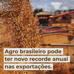 Agro brasileiro pode ter novo recorde anual nas exportações