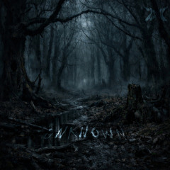 UNKNOWN (FREE DL)