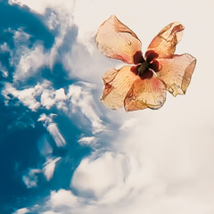 Matt Sephton - The Sky