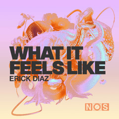 Premiere: Erick Diaz - What It Feels Like | NOS Recordings