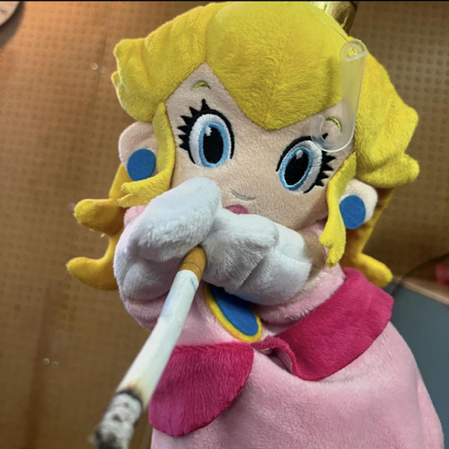 wifiskeleton- widow wife (throwaway)