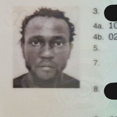 Everything Is Connected  / D I S O R D E R III