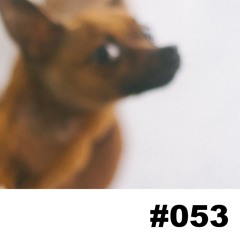 LAF Podcast #053 | smittness