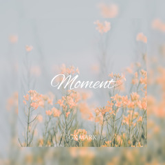 Moment