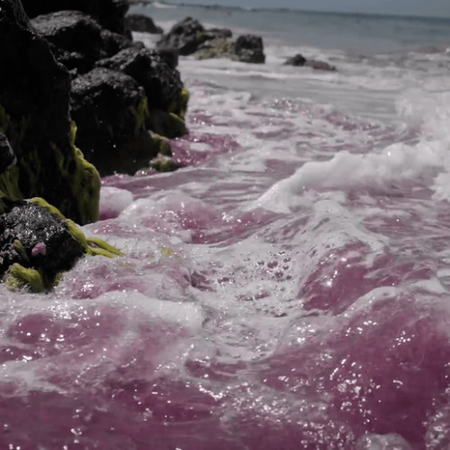 lucki - not so virgo of you (528 hz)