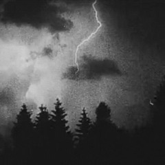 STS349Sauce - Assignment 8 - Woods