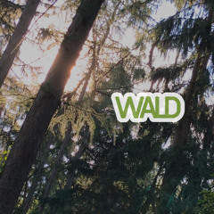 WALD ( feat. Reimee )