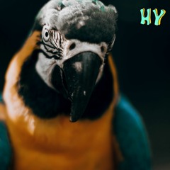 sin límite - (hy usher flip)