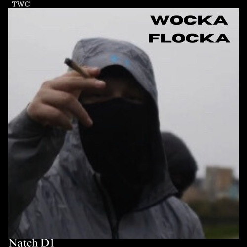 Natch D1 - Wocka Flocka (audio)