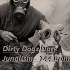 Dirty Dogz - Bpm 144 - 2024 - Mastered