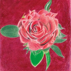 Medley Rose For You