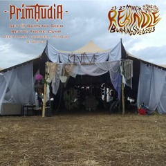 @ Burning Seed - Revive Theme Camp - Deep Dark Dubstep, PsyDub & Glitch 26/03/23