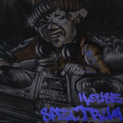 House Spectrum 020
