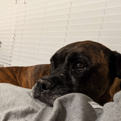 sad shit cuh fr this time