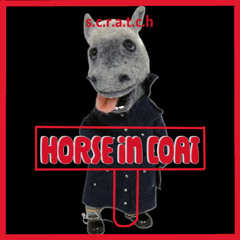 Horse in coat!