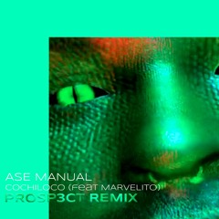 Ase Manual - Cochiloco (feat Marvelito) [Prosp3ct Remix] Download